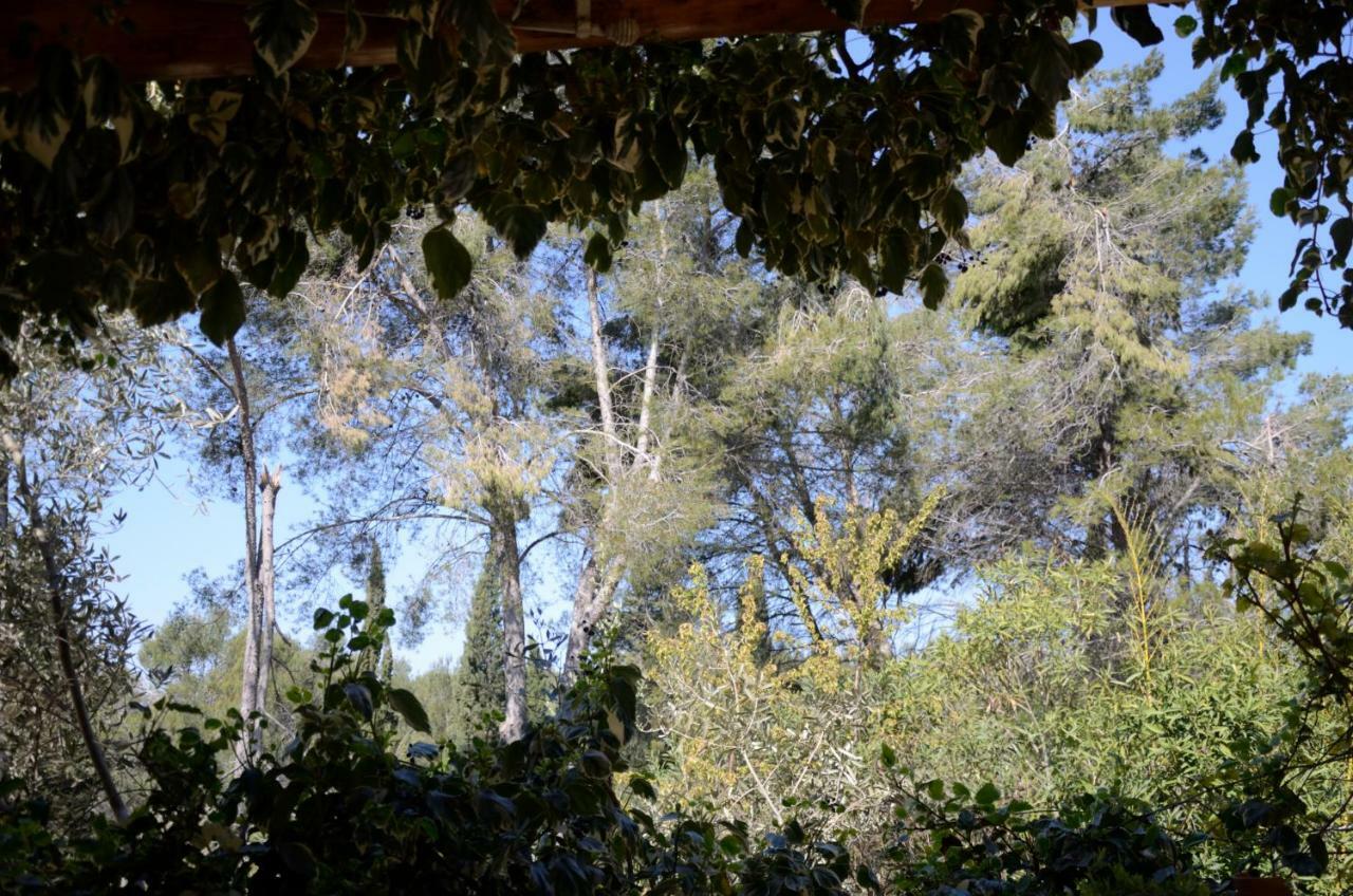 Mas Du Puech Clapas Villa Assas Exterior foto